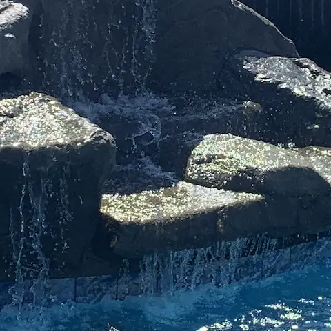 waterfall pool feature